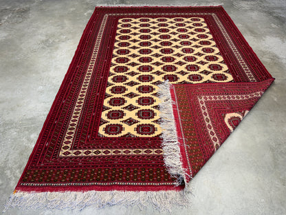 Hand-Knotted Persian Turkaman Rug - 7'x10'