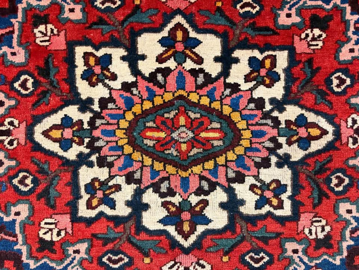 9’1”x12’ Hand-Knotted Wool Bakhtiari Rug
